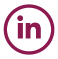LinkedIn Icon Paars copy copy